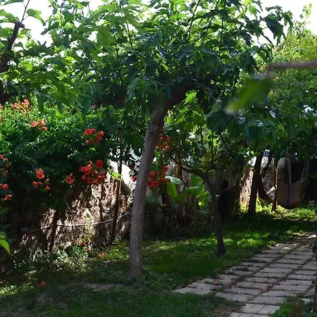 Filanthi Methoni (Messenia)